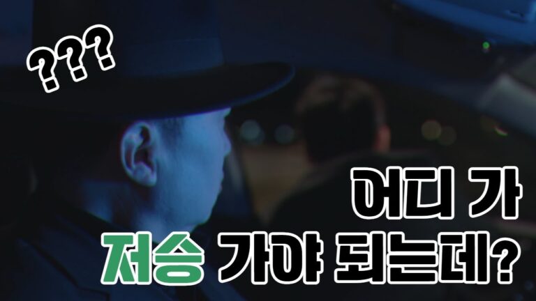 음주운전 처벌 기준, 혈중알코올농도 구간별 벌금과 면허 처분표
